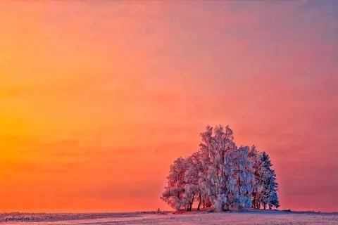 foto: Fotografas Giedrius Šeibelis
