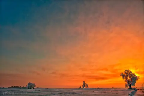 foto: Fotografas Giedrius Šeibelis