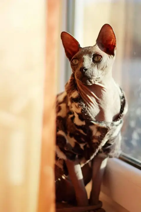 Foto: Kristina Iksiene
