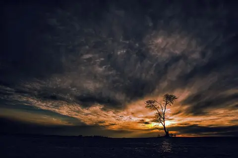 Foto: Fotografas Giedrius Šeibelis