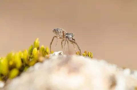 Foto: Livijus Raubickas