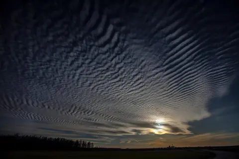 Foto: Žydrūnas Budzinauskas