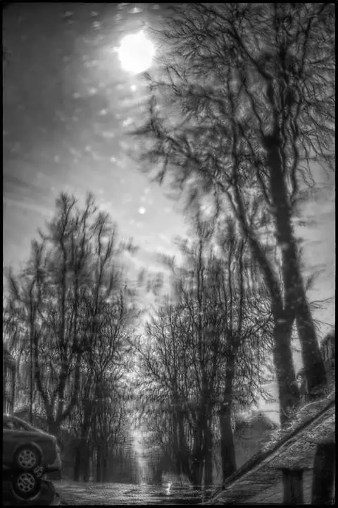 Foto: Andrius Mačiūnas