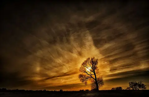 Foto: Fotografas Giedrius Šeibelis