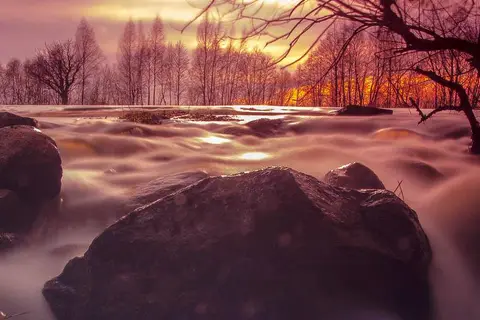 Foto: Arvydas
