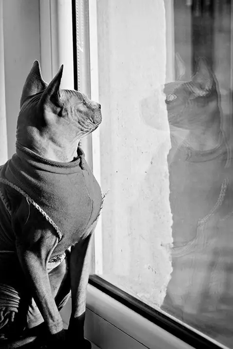 foto:@Kristina Margeviciene