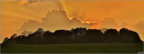 Foto Andrius Mačiūnas