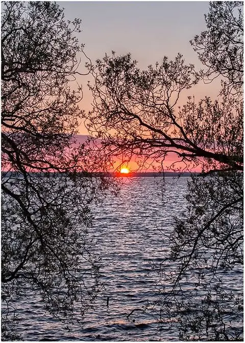 Kelios gegužės mėn. klubo narių nuotraukos