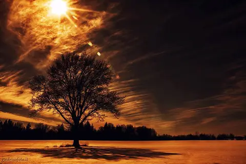 foto: Giedrius Stugas