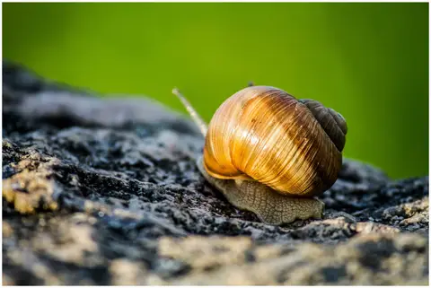 Kelios gegužės mėn. klubo narių nuotraukos