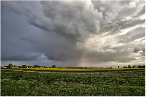 foto: Giedrius Stugas