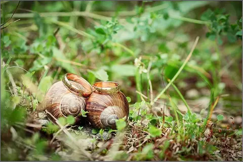 Foto: Tomas Saparis