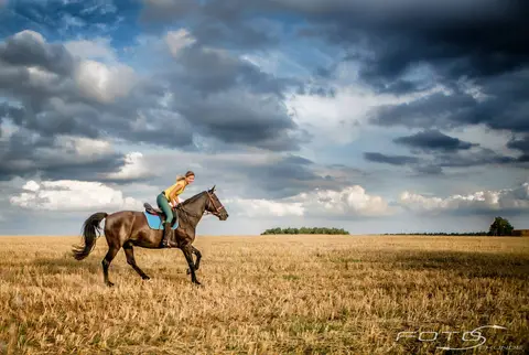 Foto: Vygintas Pucinskas