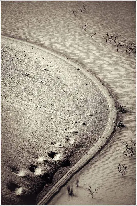 Foto: Andrius Maciunas