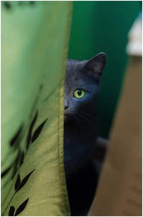 Foto: Andzelika Vaiciulyte