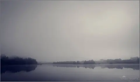 Foto: Tomas Saparis