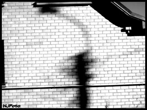 foto: Nerijus Jankauskas