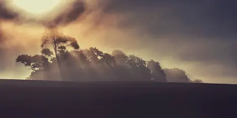 Foto: Fotografas Giedrius Šeibelis