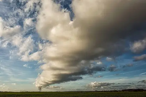 Foto: Fotografas Giedrius Šeibelis
