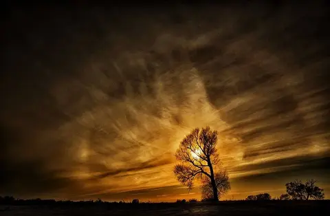 Foto: Fotografas Giedrius Šeibelis