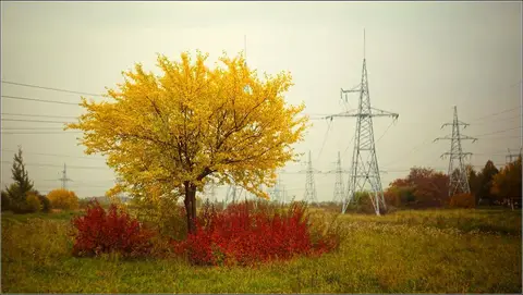 Foto: Andrius Mačiūnas