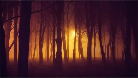 Foto: Andrius Mačiūnas