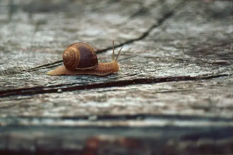 Foto: Fotografas Livijus Raubickas