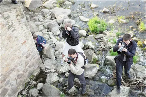 Copyright: Dalia Padaigiene