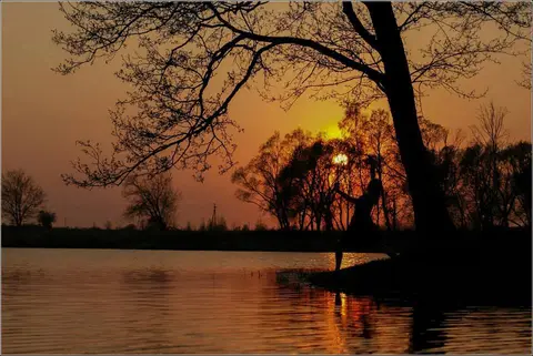 Copyright: Dalia Padaigiene