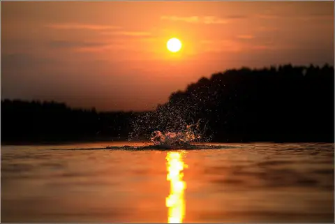 Copyright: Dalia Padaigiene