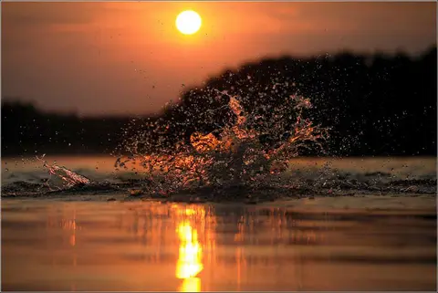 Copyright: Dalia Padaigiene