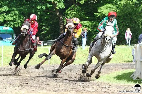 Evaldas Černiauskas. 2013m geriausios foto