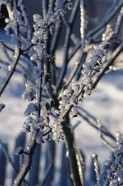Austina Kasperavičiūtė. 2013m geriausios foto
