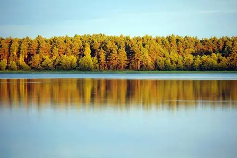 Austina Kasperavičiūtė. 2013m geriausios foto