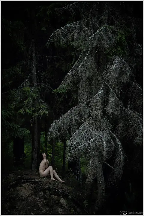 foto:Evaldas Šteinbergas