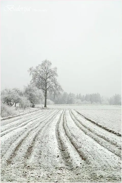 Foto: Bulerija Photography