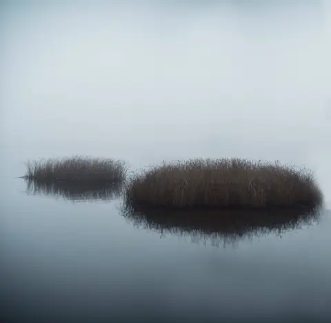 foto: Andželika Sakalauskienė
