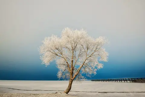 foto: Andželika Sakalauskienė