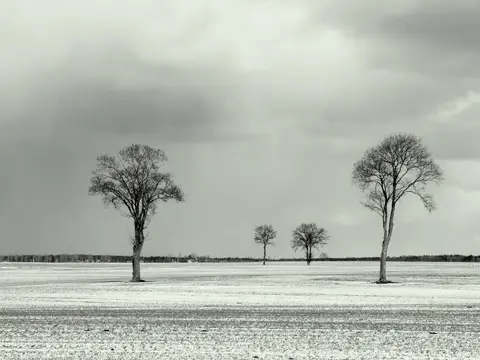Zenonas Mockus 2014
