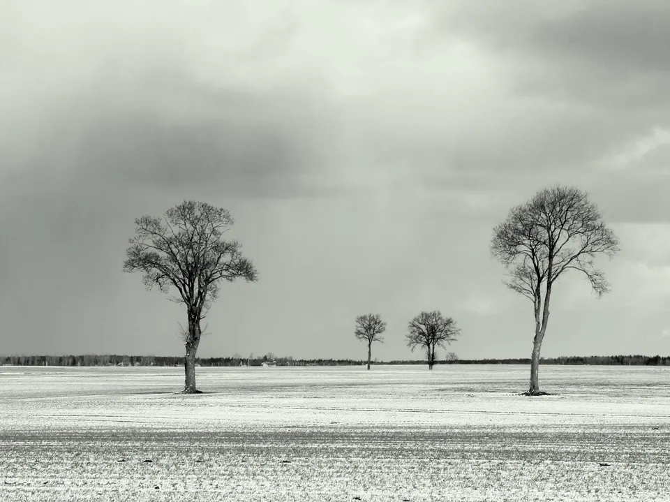 Zenonas Mockus 2014