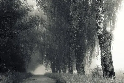 foto: Zenonas Mockus