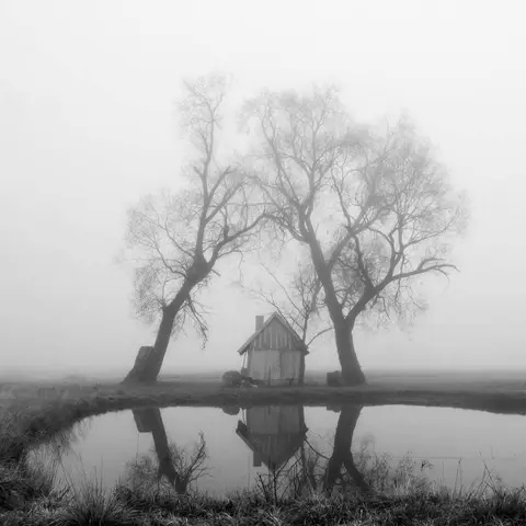 foto: Zenonas Mockus