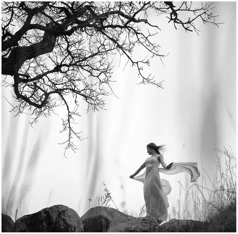 foto: Giedrius Stugas