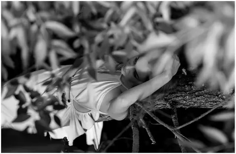 foto :Kristina Margeviciene..