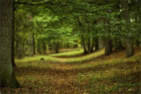 Foto: Andrius Mačiūnas